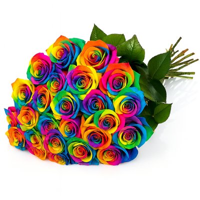 Rainbow Roses